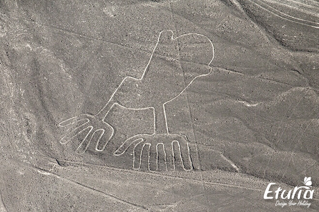 Zbor deasupra liniilor Nazca img4