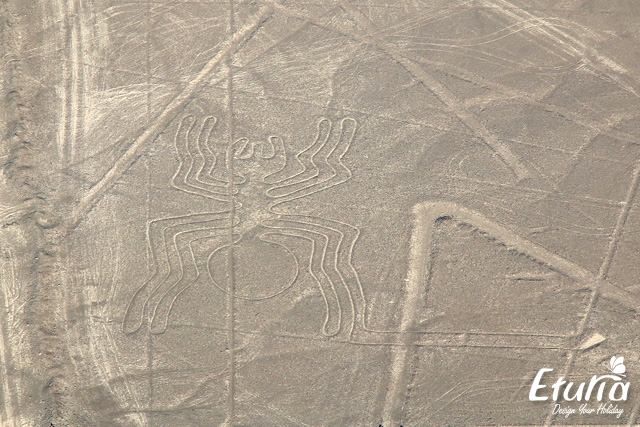 Zbor deasupra liniilor Nazca img2