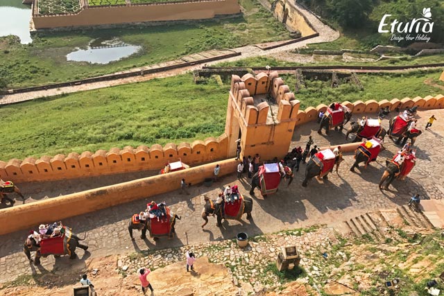 India - Jaipur Fortul Amber