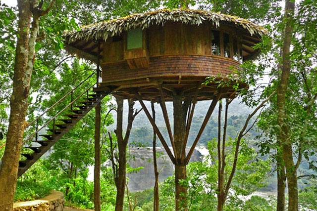 Casute in copac Rainforest Athirapally, Kerala
