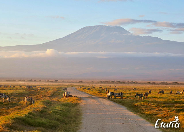 Muntele Kilimanjaro Parcul National Amboseli