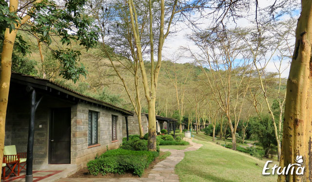 Lake Nakuru Sarova Lion Hill Lodge