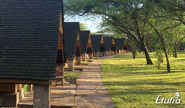 Maasai Mara Keekorok Lodge