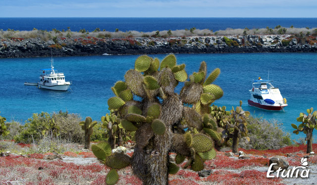 peisaj-Galapagos