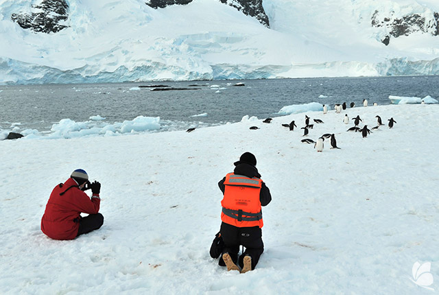 Expeditie Antarctica